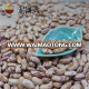 wholesale China Light Speckled Kidney beans (LSKB) Pinto beans/Sugar beans