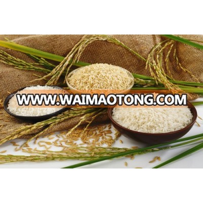 Premium Grade Jasmine Rice Long & Short Grain