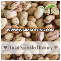 Chinese Light Speckled Kidney Bean,Wholesale Pinto Beans