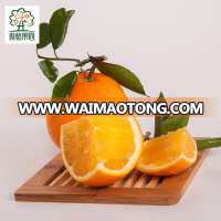 China fresh navel orange