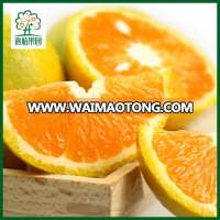 Hubei honey orange for orange fruit juice