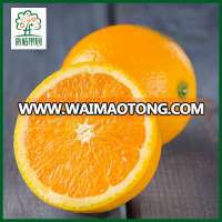 Mandarin orange citrus fruit orange wholesaler