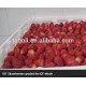 Wholesale IQF strawberry