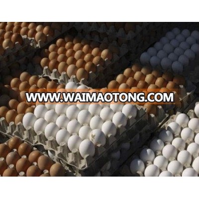 FRESH BROWN TABLE EGGS / WHITE CHICKEN EGGS