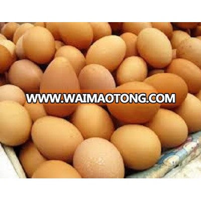 FARM FRESH BROWN CHICKEN EGGS / BROWN EGGS