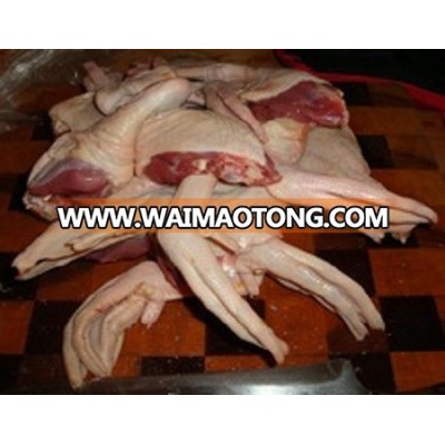 HALAL FROZEN DUCK FEET / FROZEN DUCK LEG / FROZEN DUCK BREAST / DUCK PARTS