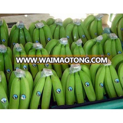 Best quality Fresh Green Indian Banana