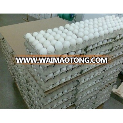 FRESH CHICKEN WHITE TABLE EGGS