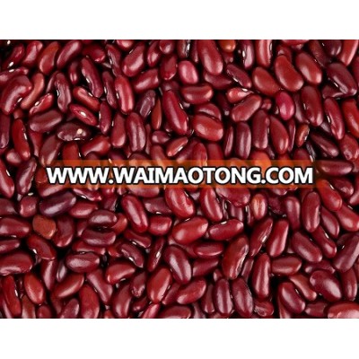 Top quality speckled light red kidney beans worldwide exporters fast delivery and best price