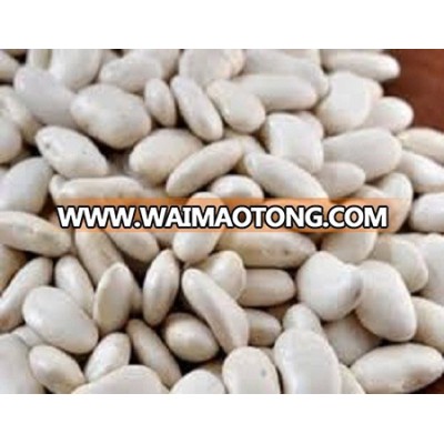 White kidney Beans