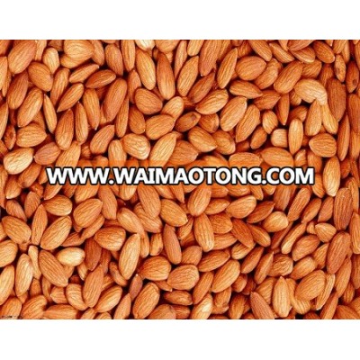 Sweet California Almond Nut / Cashew Nuts / Walnuts Available in Stock for Exportation