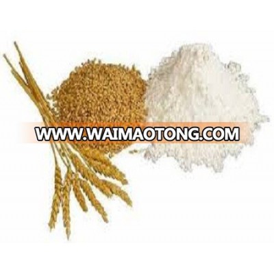 High quality Food grade Hydrolyzed Wheat Protein