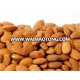 Sweet Almonds Available/ Raw Almonds Nuts, delicious and healthy Raw Almonds Nuts Almond/Apricot