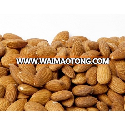 Raw Almonds Nuts, delicious and healthy Raw Almonds Nuts Almond/Apricot Kernels