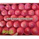 Wholesale red fuji apple and fresh fruits